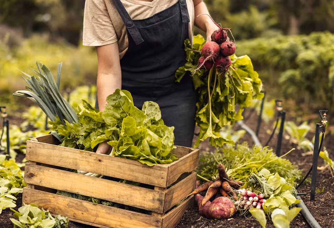 Zero Waste - eine neue Lebensphilosophie?