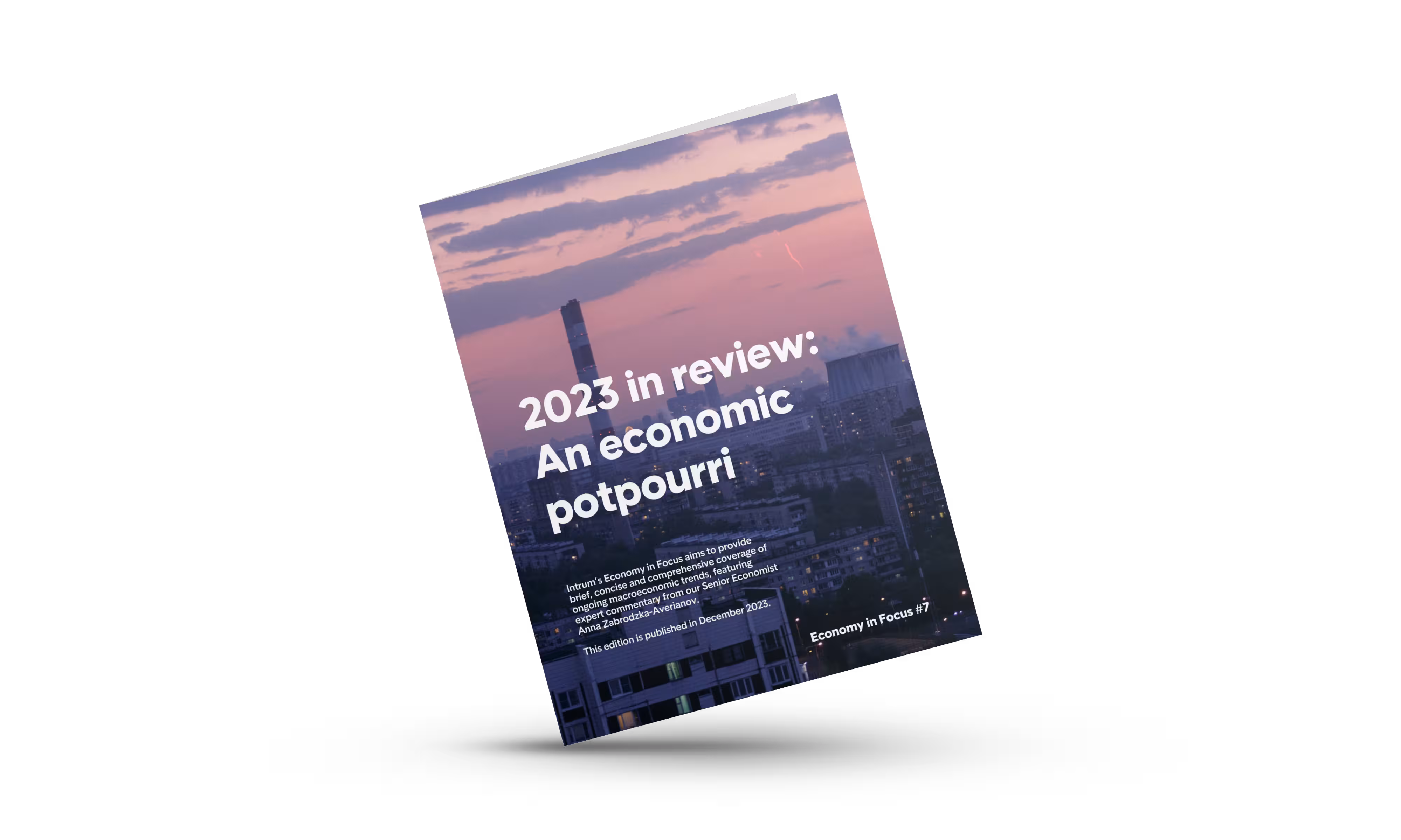 Economy In Focus #7 Report Image